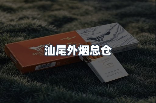 汕尾外烟总仓